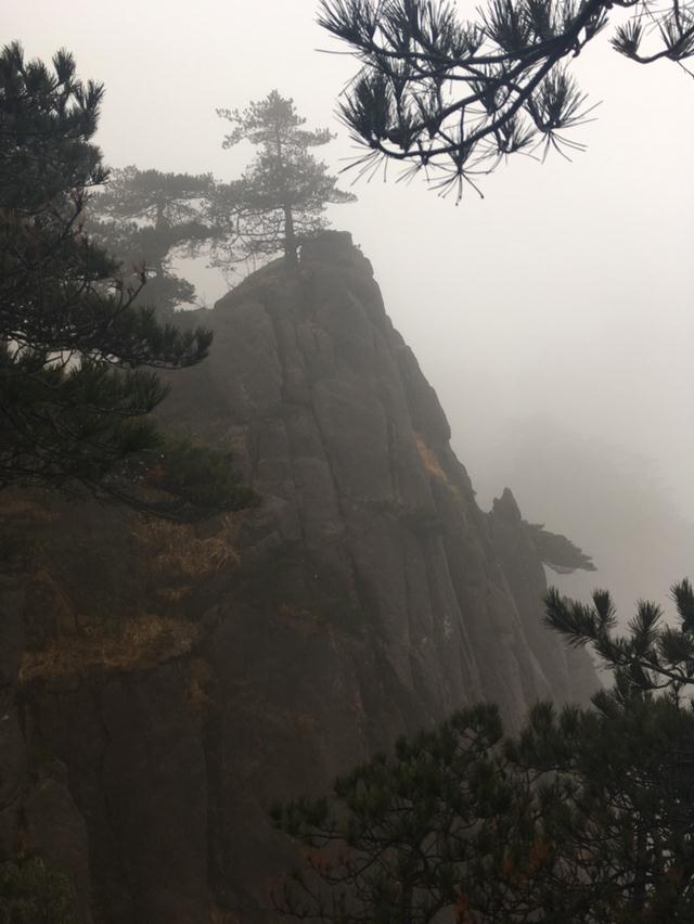 黄山白云宾馆预订_黄山白云宾馆价格、地址、