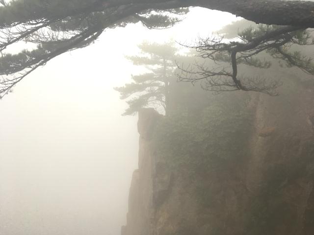 黄山白云宾馆预订_黄山白云宾馆价格、地址、