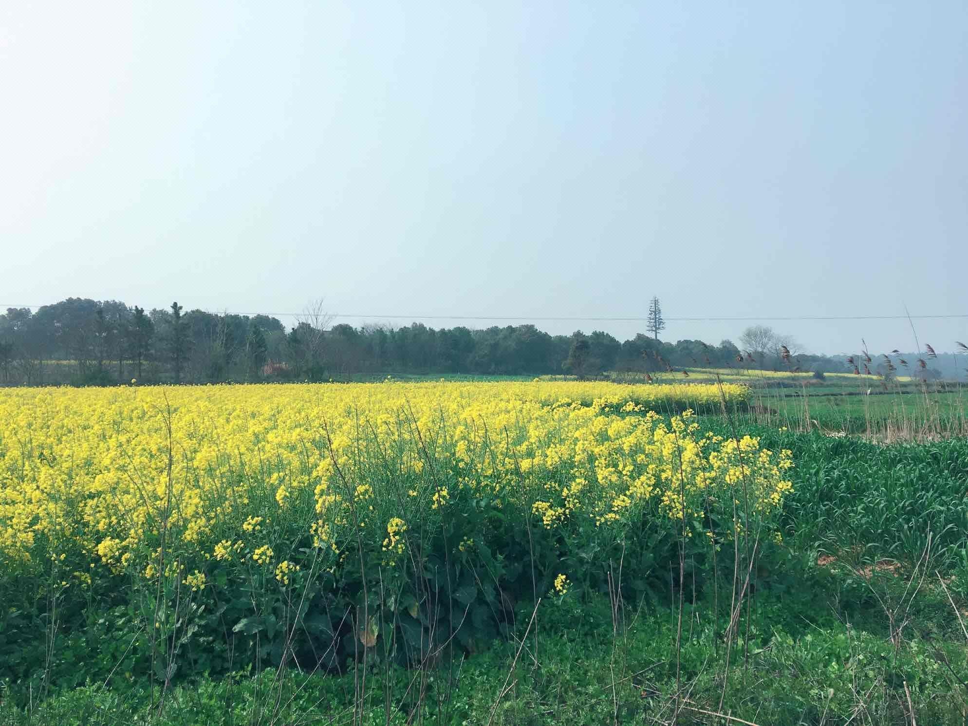 南京高淳国际慢城淳味农家乐