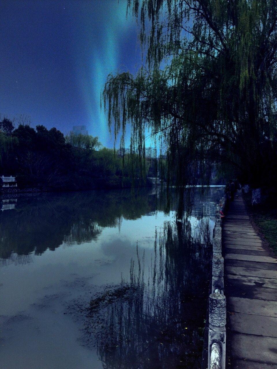 南京机场宾馆(龙蟠中路店)