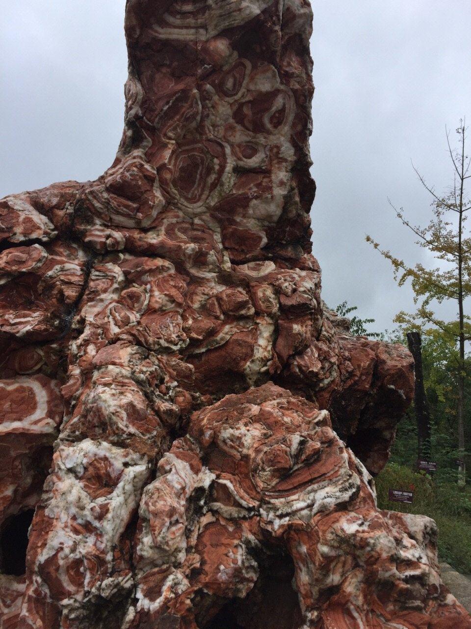 利川丽森休闲度假村