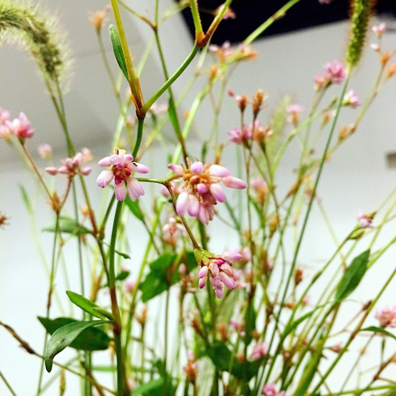 缙云七月民宿预订_缙云七月民宿价格、地址、电话查询【同程酒店】