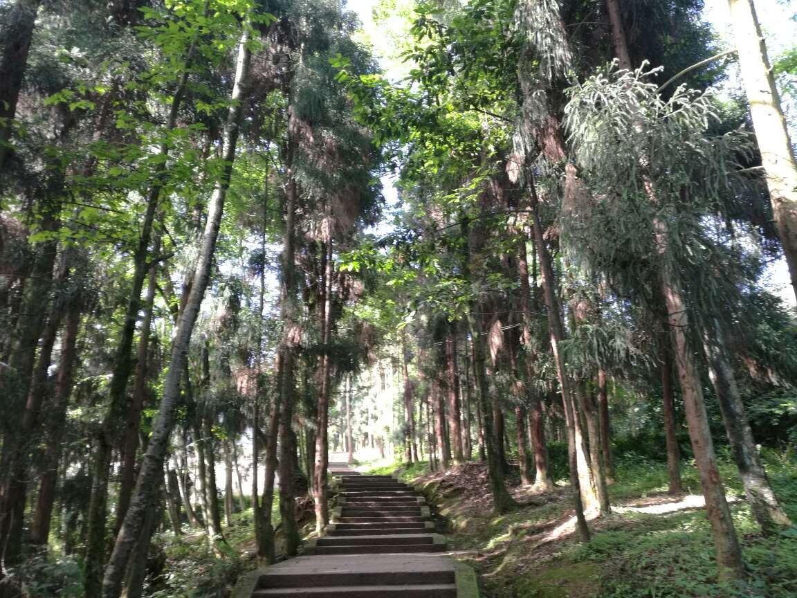 峨眉山万年寺行缘居养心公寓