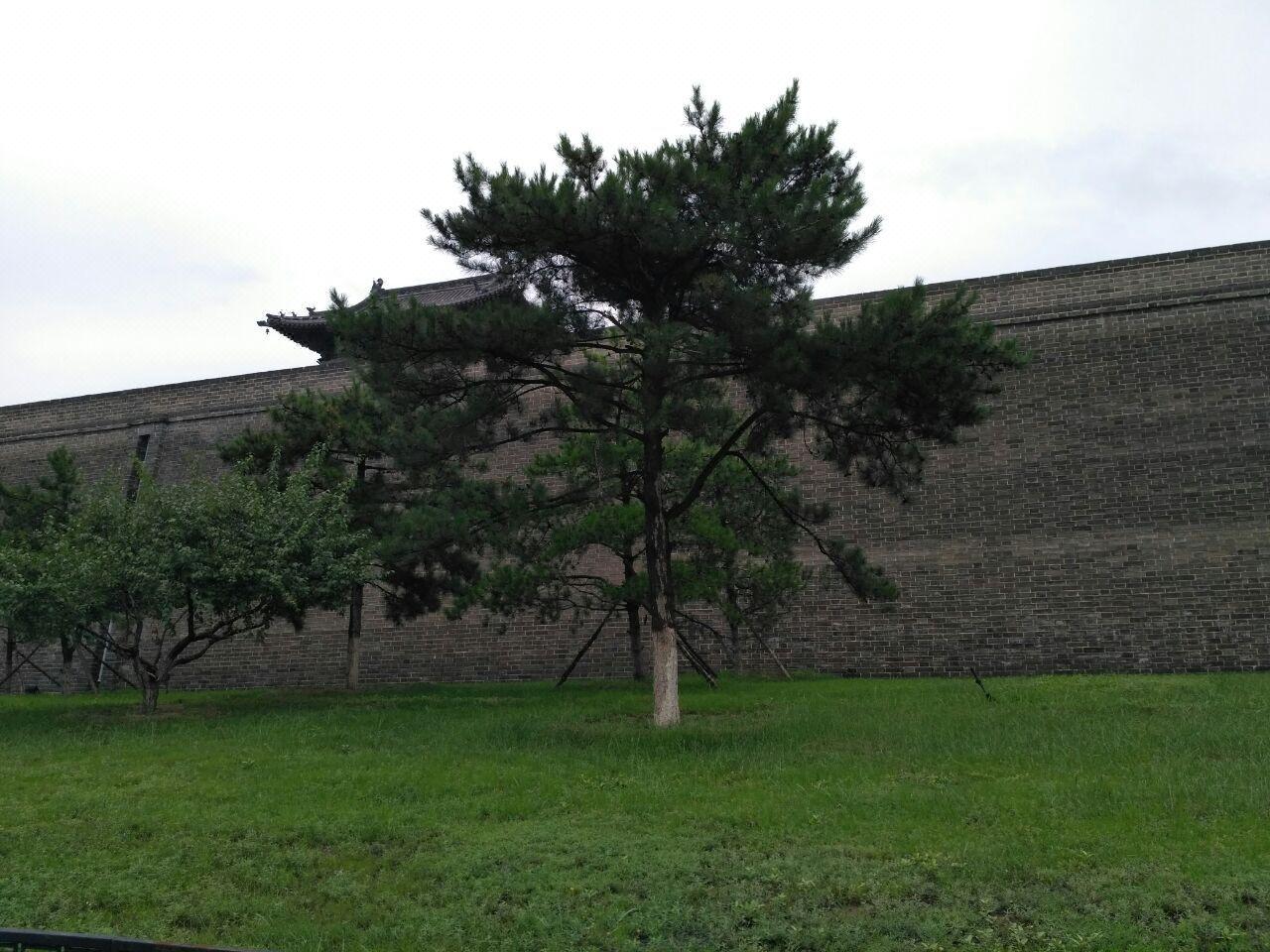 大同艾莱酒店预订_大同艾莱酒店价格、地址、