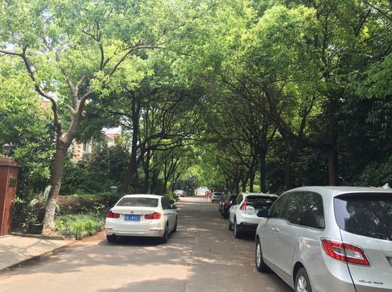 上海九江枢纽栖息26号别墅别墅华府江虹桥誉图片