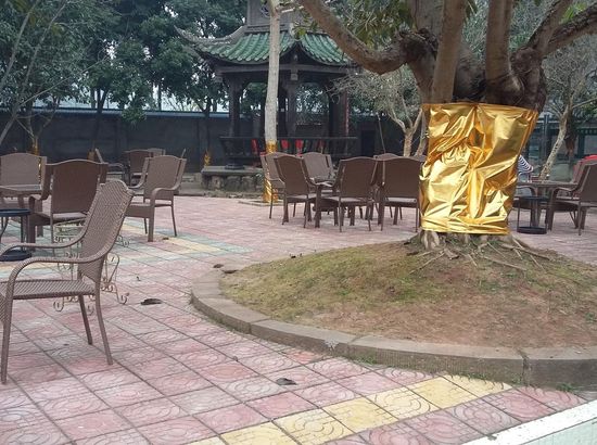 简阳龙泉湖出发龙马山庄南京开泰澳门香港自由行攻略图片