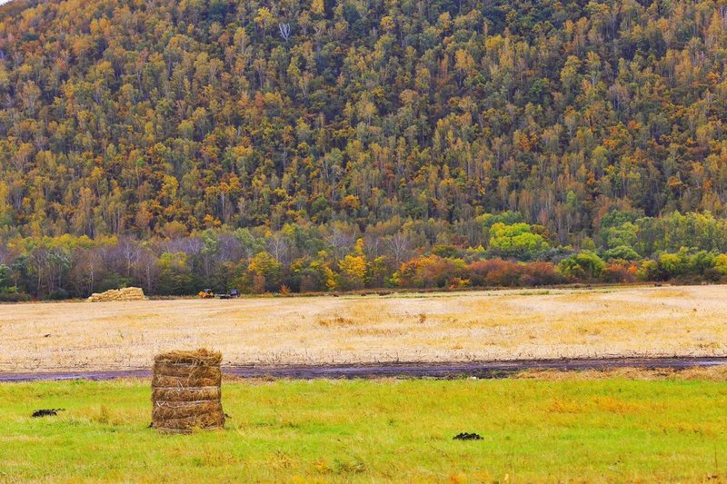 杭州滨江艺珺酒店