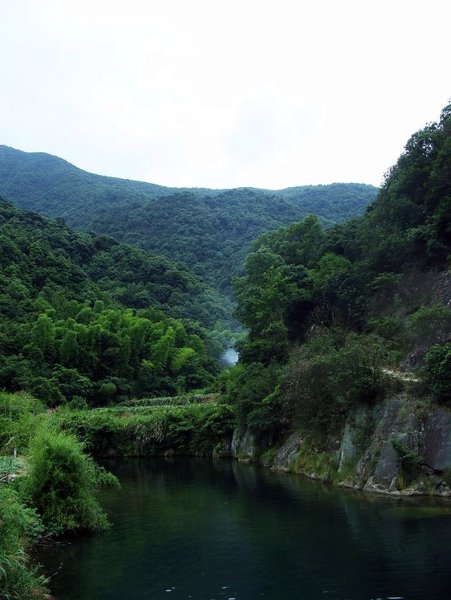 宁海双林农家乐3号