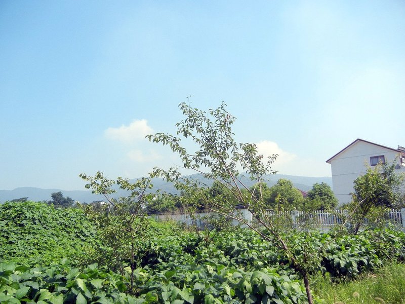 西山明月湾老马农家乐