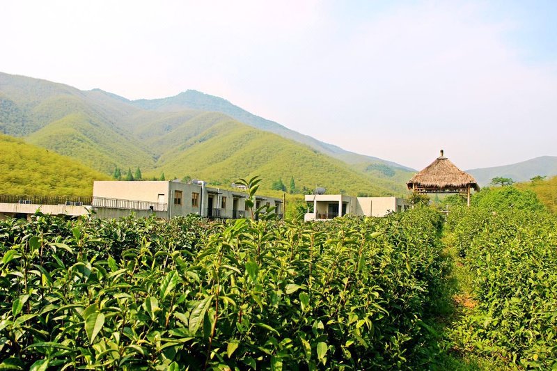 莫干山漫时光乡村旅店