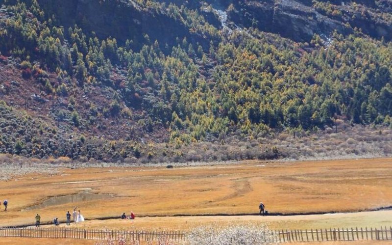 稻城日瓦翔云宾馆