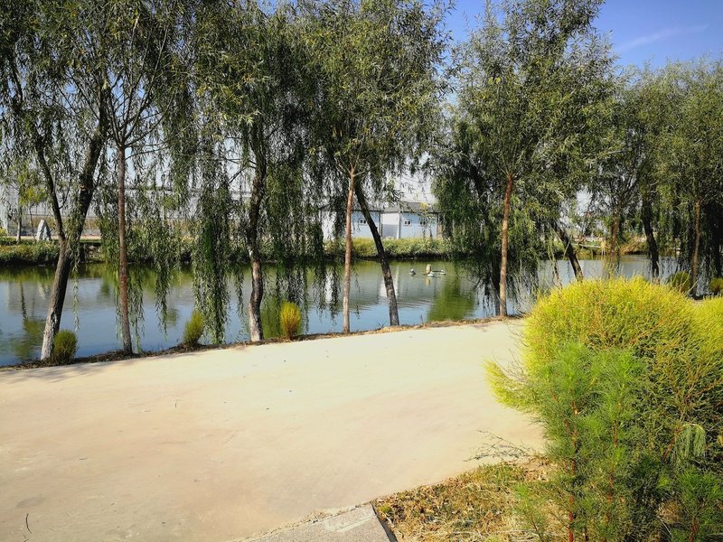 天津大鹏民宿预订_天津大鹏民宿价格、地址、