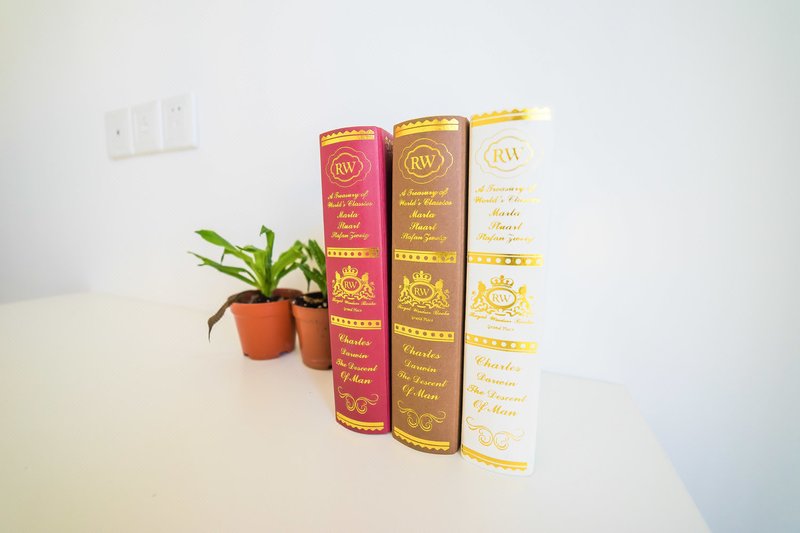 珠海近长隆海洋王国拱北口岸豪华精装2房普通