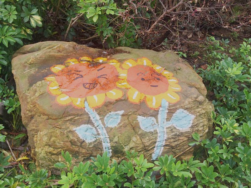 珠海近长隆海洋王国拱北口岸豪华精装2房普通