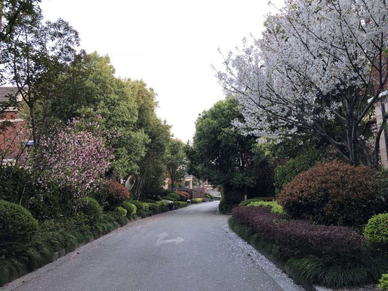 外滩上海分店(杨宗路别墅)迷你别墅女小图片