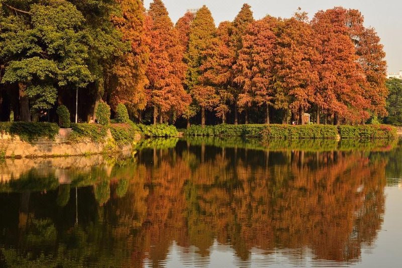 广州康柏斯酒店