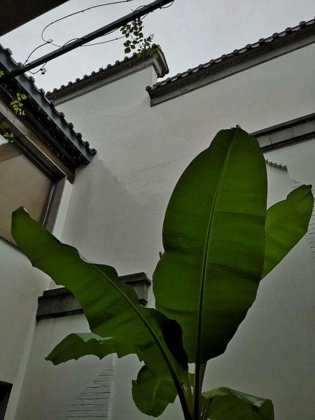 南京宽渡酒店预订_南京宽渡酒店价格、地址、