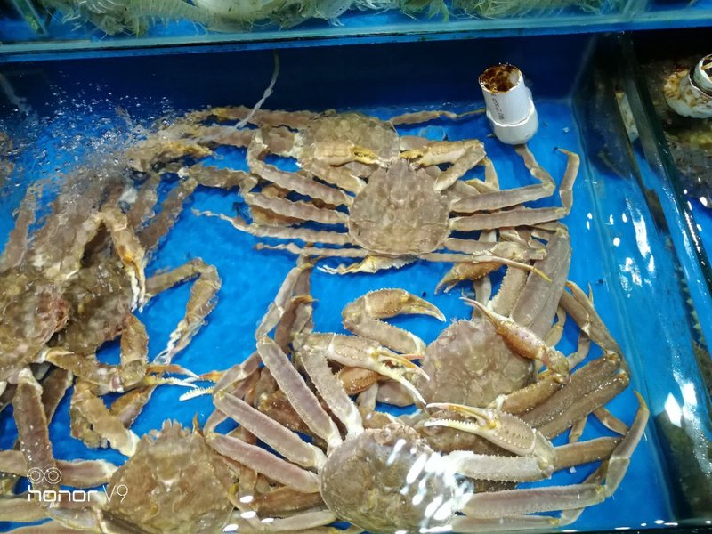 北海途乐居海湾度假公寓