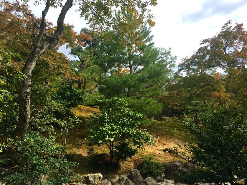 桔子酒店·精选(西宁盐湖巷店)