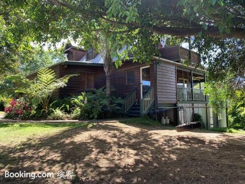 Shenanigans Spur Other