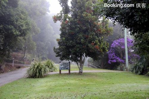 Shenanigans Spur 休闲