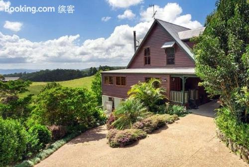 Shenanigans Spur Over view