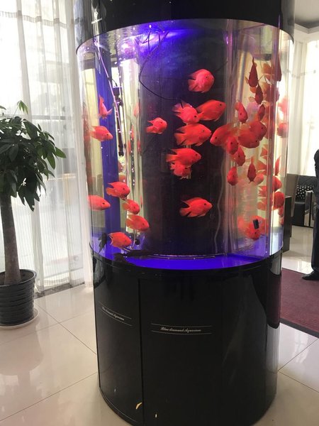 东方凯旋商务酒店(北京南站店)