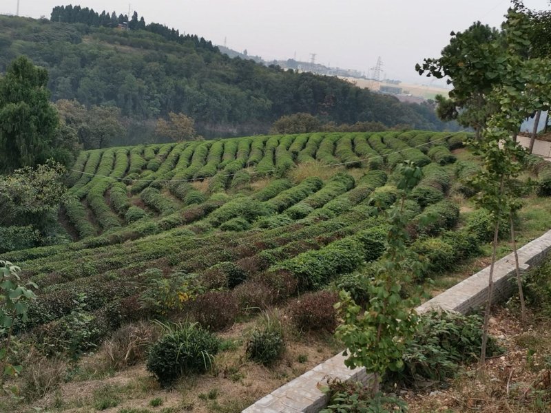 丹江口松涛山庄