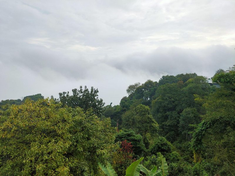 西双版纳南糯山龙巴庄园