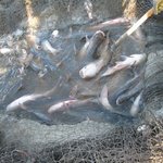 松原旅游,松原旅游攻略,6月北京旅游攻略