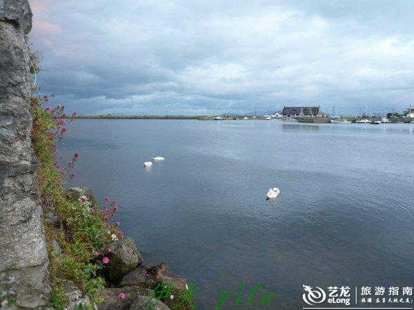 爱尔兰画眉_爱尔兰人均收入