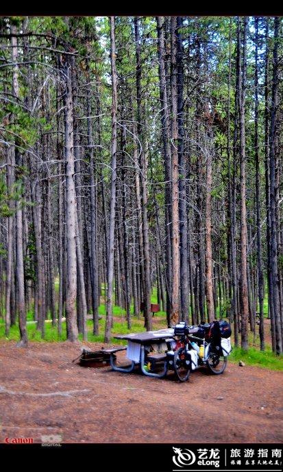 向东向南,美国自行车旅行游记30--黄石公园,骑