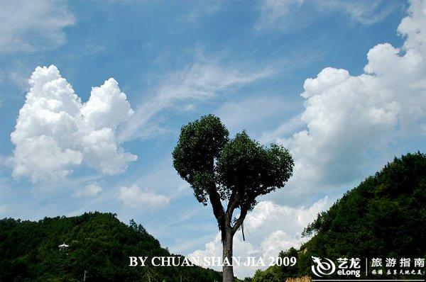 什么繁叶茂成语_花繁叶茂(3)