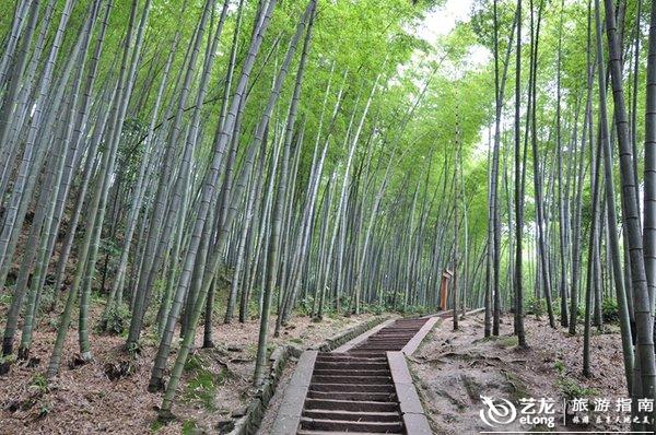 蜀南竹海婚纱照_蜀南竹海