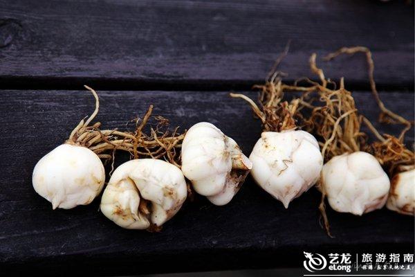 【匈牙利】杰尔 小镇该有的样子, KevinJJ旅游