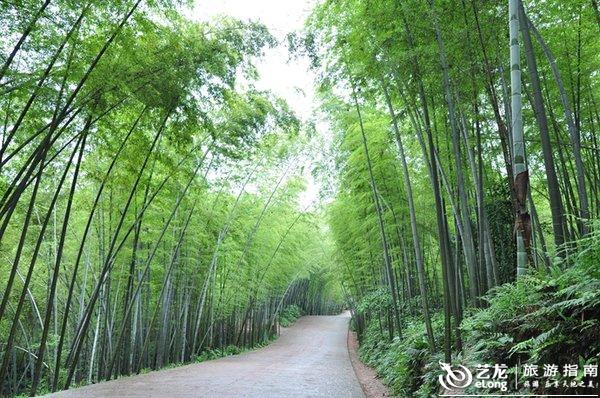 蜀南竹海婚纱照_蜀南竹海