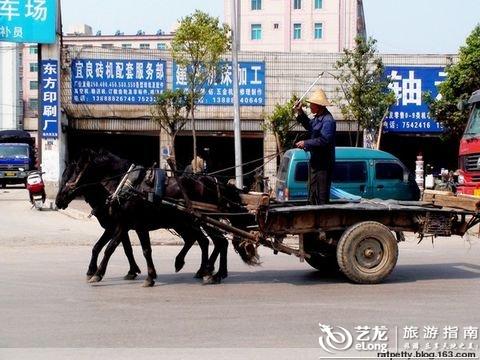 鼻舒堂骗局害死人_gdp害死人(2)