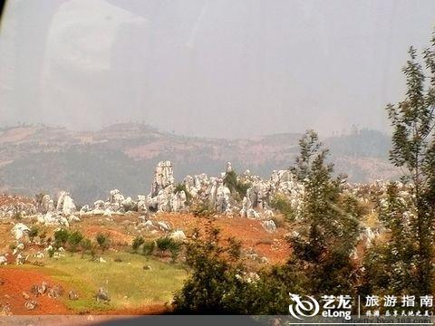 鼻舒堂骗局害死人_gdp害死人(2)