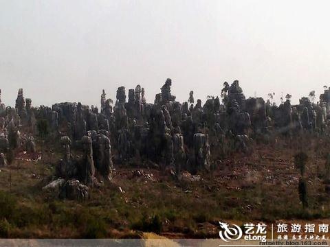 鼻舒堂骗局害死人_gdp害死人(2)