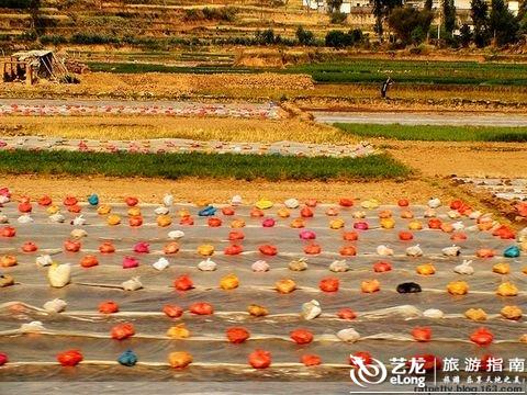 鼻舒堂骗局害死人_gdp害死人