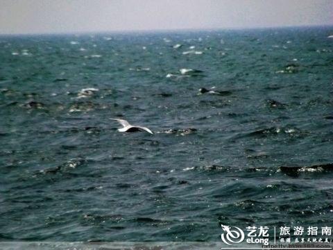 鼻舒堂骗局害死人_gdp害死人