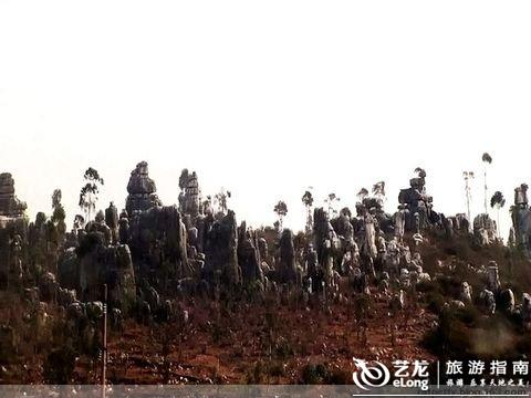 鼻舒堂骗局害死人_gdp害死人