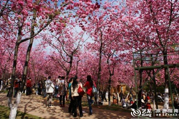 北海旅游之涠洲岛攻略