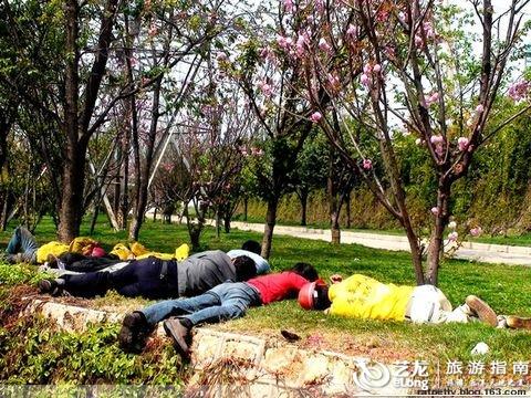 鼻舒堂骗局害死人_gdp害死人