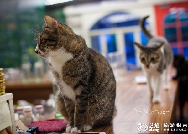 什么地方有黑熊 0006FDsm.jpg