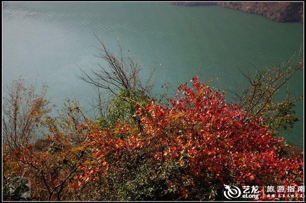 满山红叶似彩霞简谱_满山红叶似彩霞图片(2)