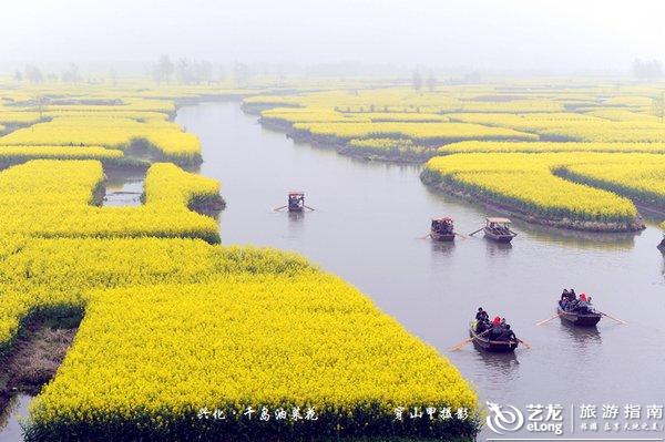 【江南】实拍:令人叹为观止的兴化千岛油菜花海