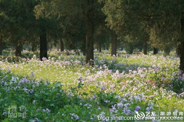 绿荫什么的成语_成语故事图片(3)