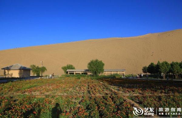 月牙泉婚纱照_鸣沙山月牙泉图片