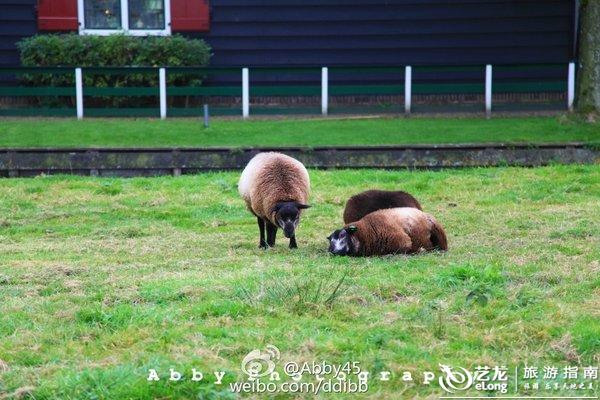 世界上身高最高的人_人均身高最高的国家